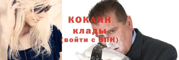сатива Заводоуковск