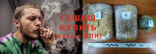 сатива Заводоуковск