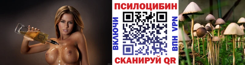 продажа наркотиков  Каргополь  mega зеркало  Галлюциногенные грибы MAGIC MUSHROOMS 